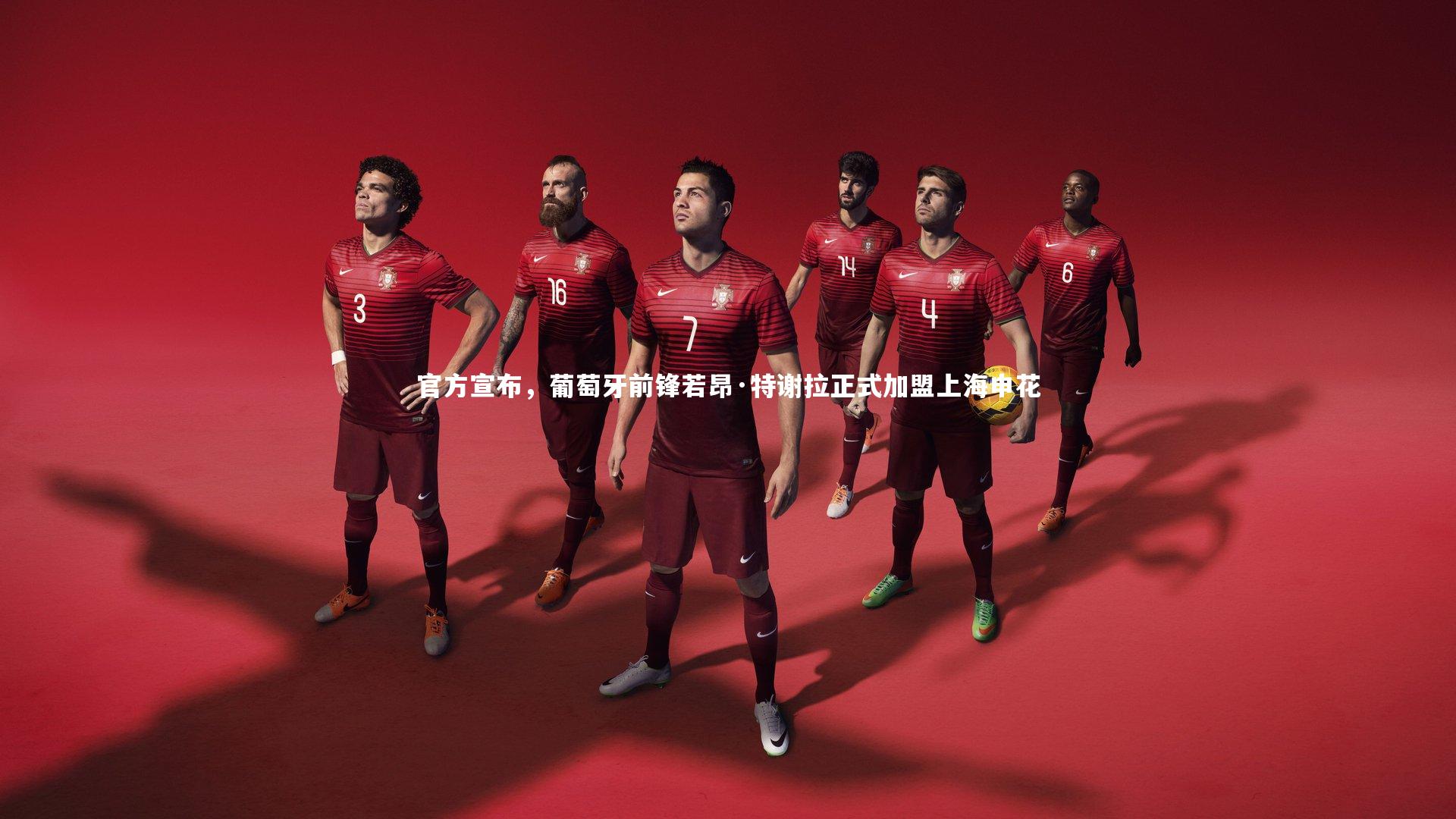 官方宣布，葡萄牙前锋若昂·特谢拉正式加盟上海申花